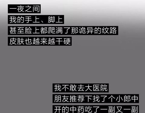404档案 象皮珠子 第113页