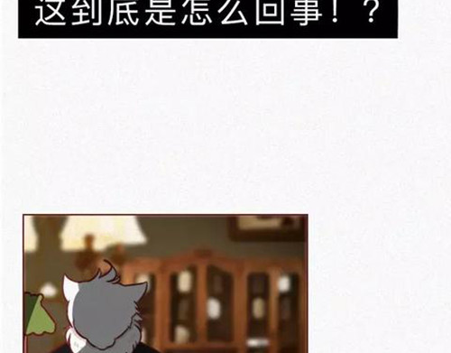 404档案 恋爱笔记本 第148页