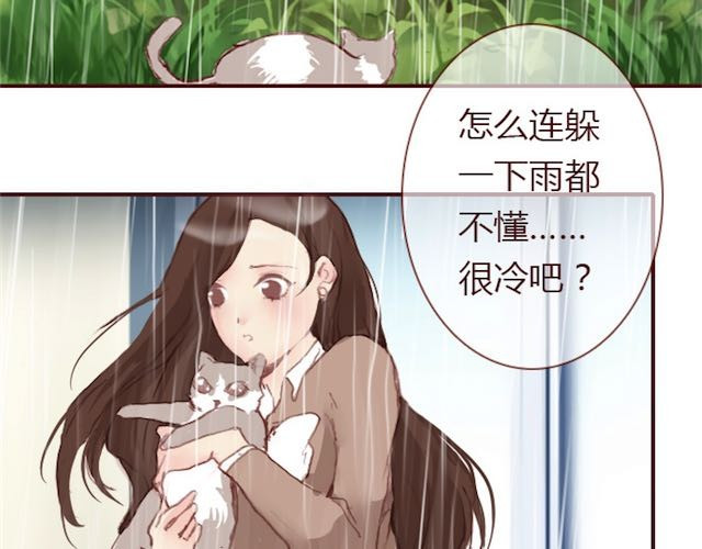 蔷薇x 第5话 捅破 第47页