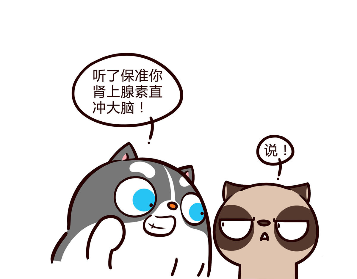 有家宠物店 你是我撩不动的崽 第26页