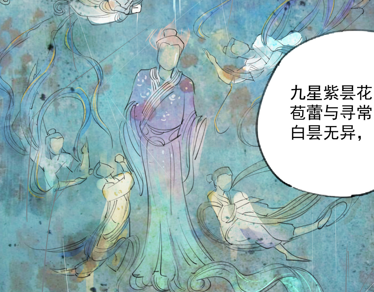 藏海雾 九星紫昙花·一 第49页
