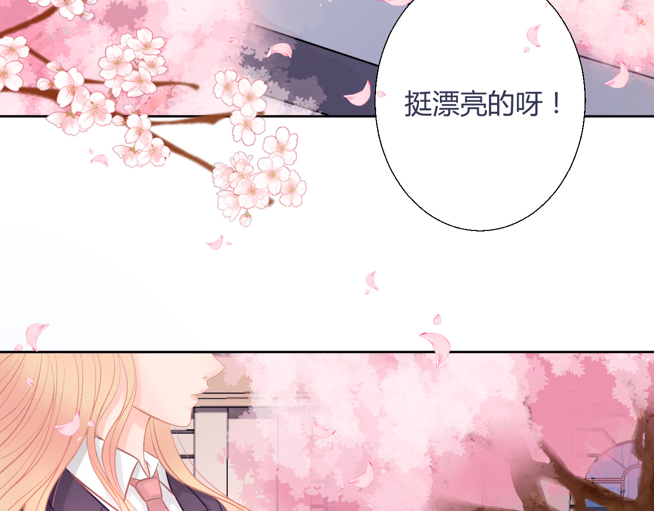 七葬花 第7页