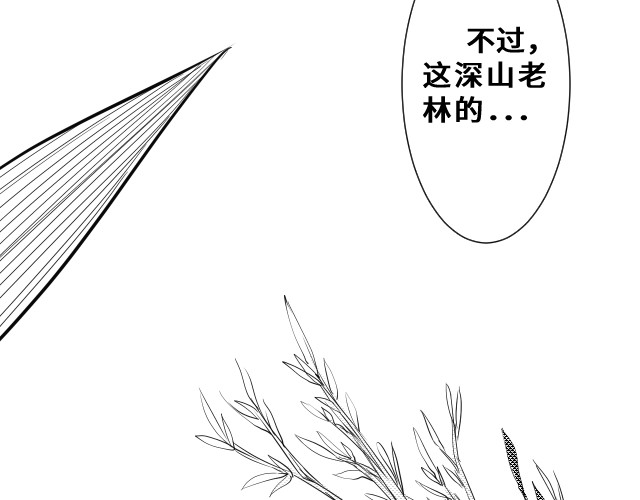 竹隐 1 第30页