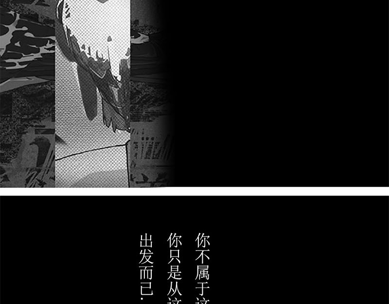 养鸽人 第4页