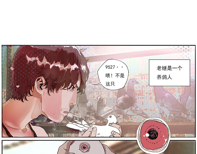 养鸽人 第6页