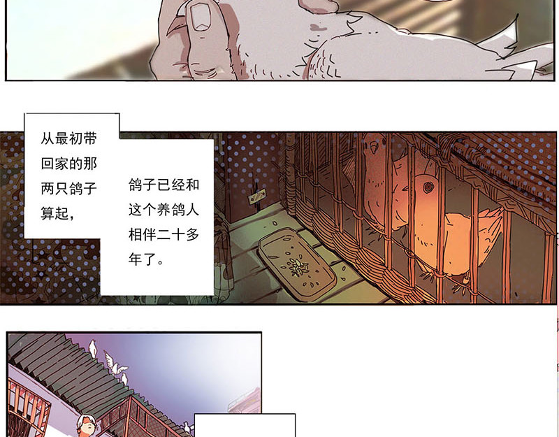 养鸽人 第7页