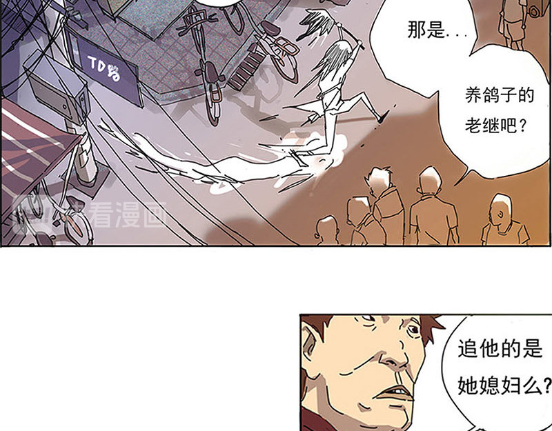 养鸽人 不期而至 第73页