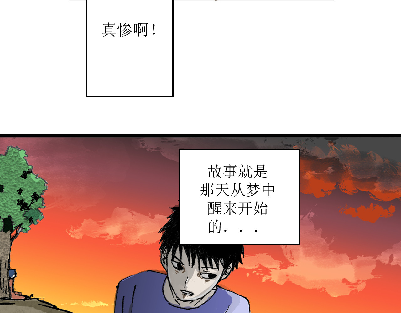 拯救岛 神秘与自然 第17页