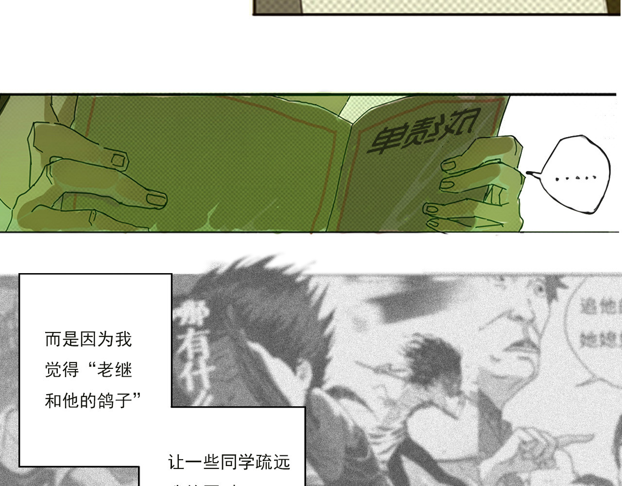 养鸽人 那一天 第54页