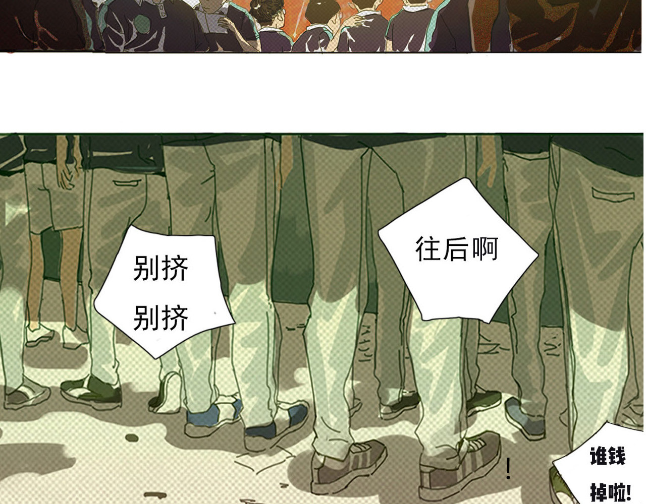 养鸽人 那一天 第7页