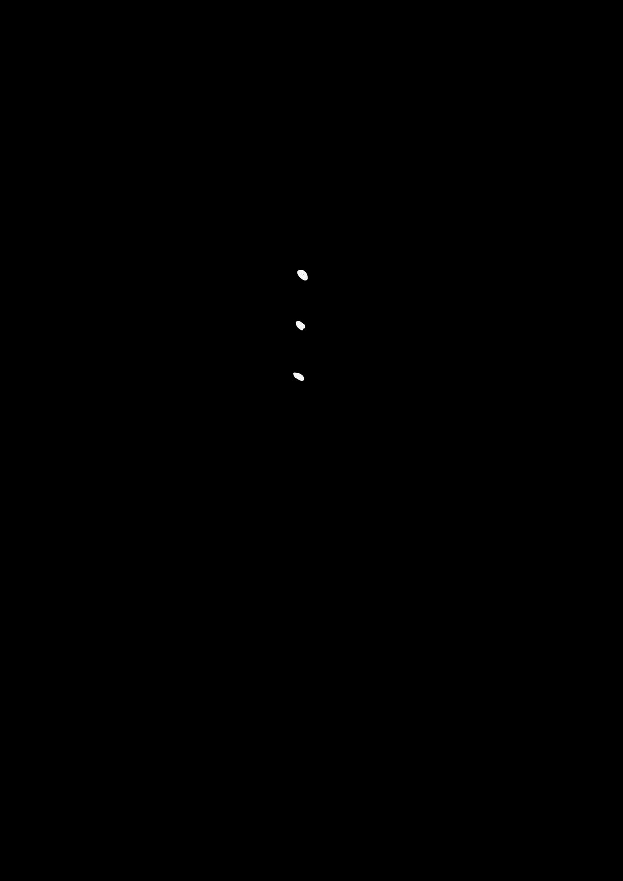凡星 第3页