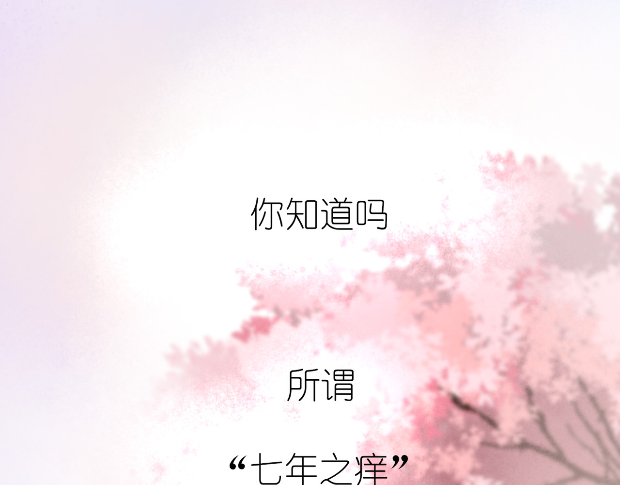 柒年 第1页