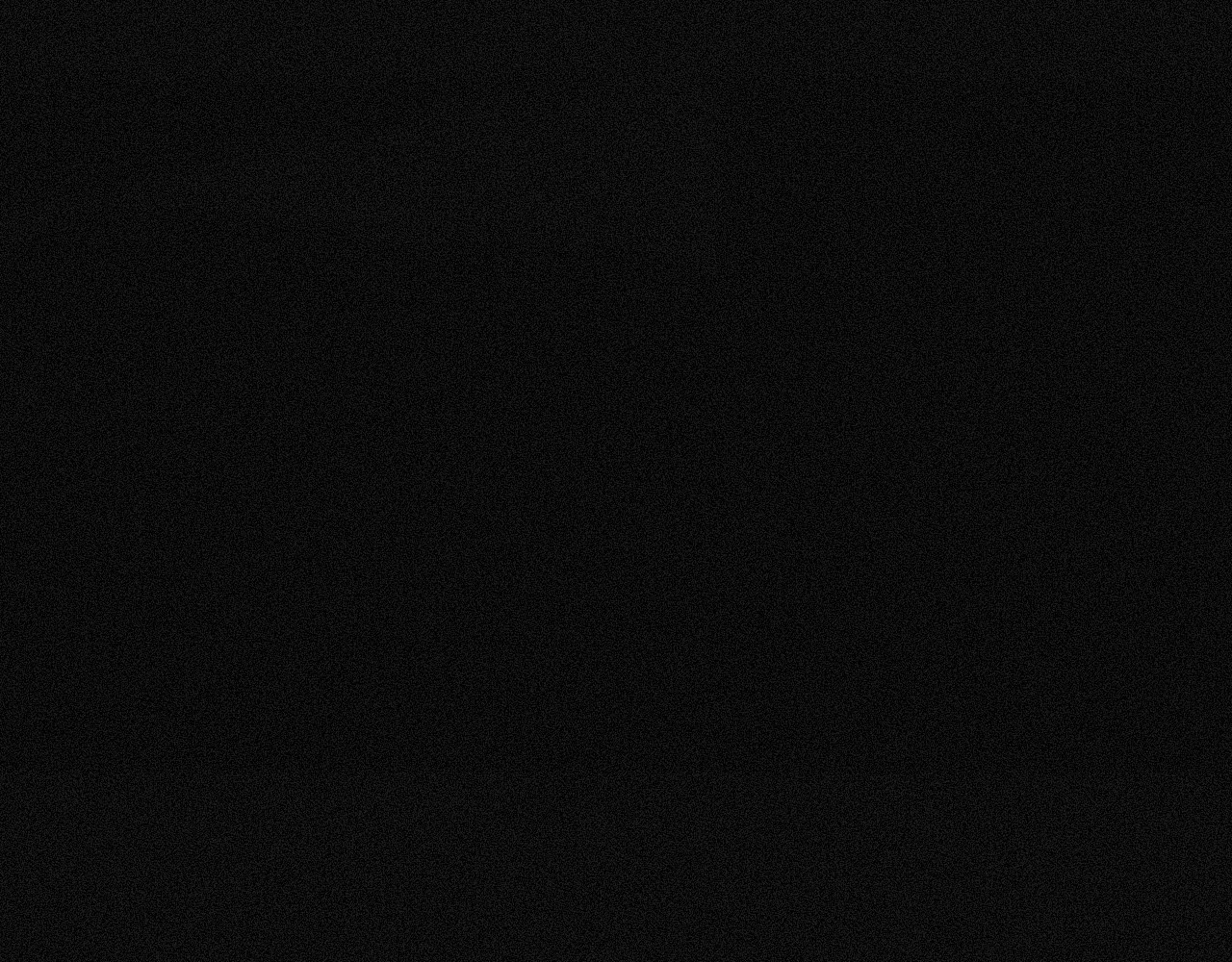坞雏 平行 第102页