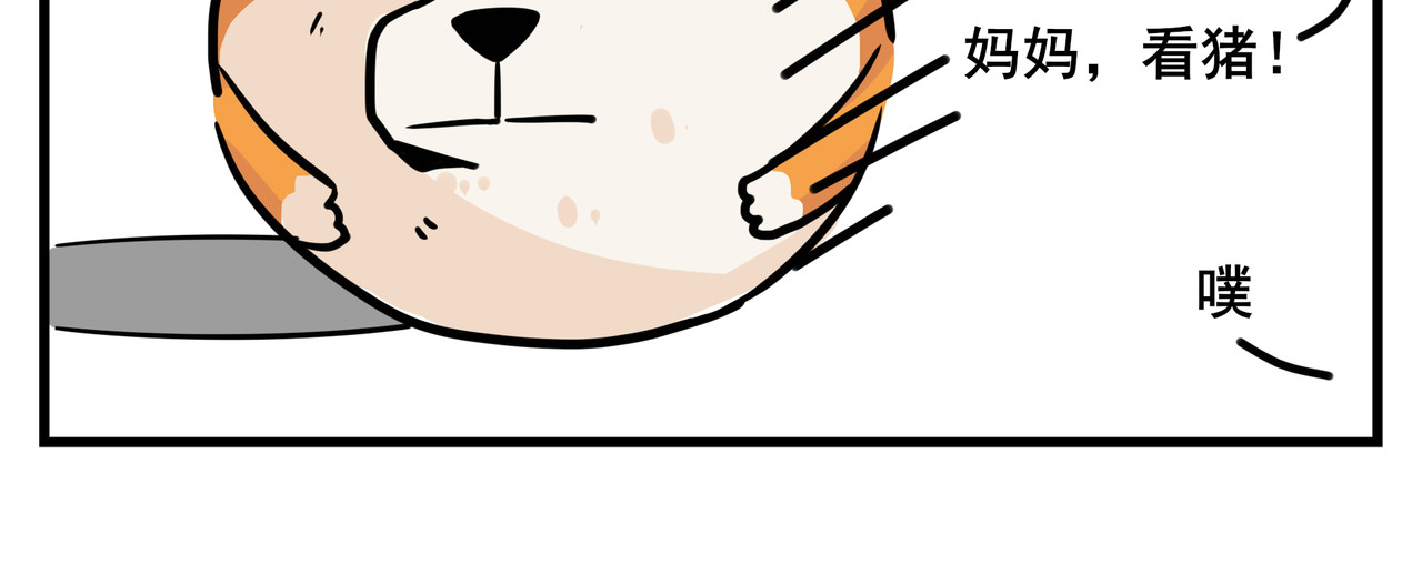 司基拉 第8页