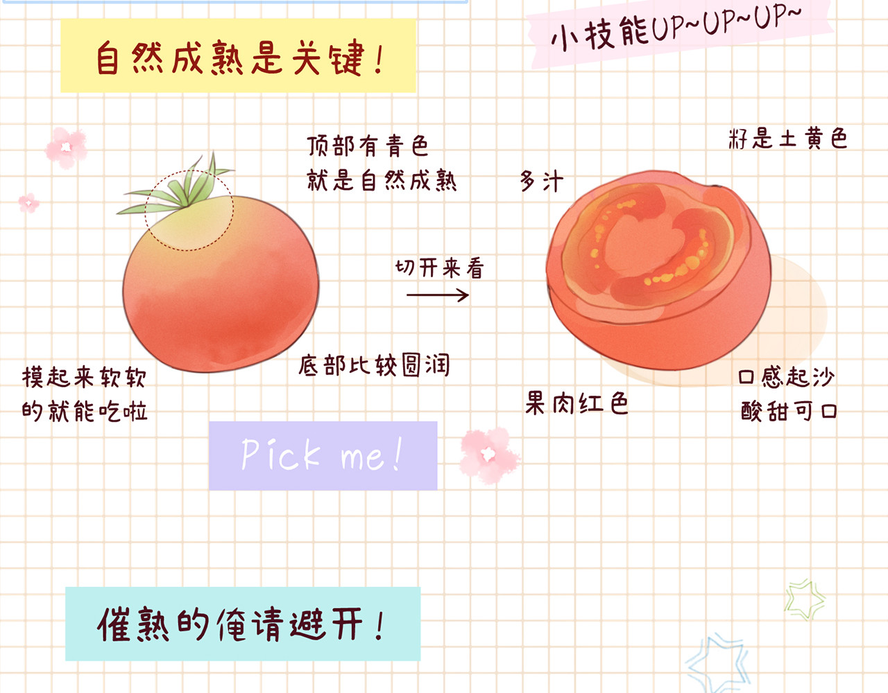 何秋何求 第2话 西红柿好好茨！ 第132页