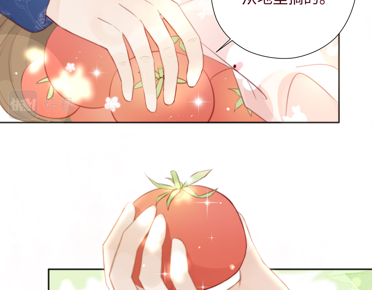 何秋何求 第2话 西红柿好好茨！ 第34页