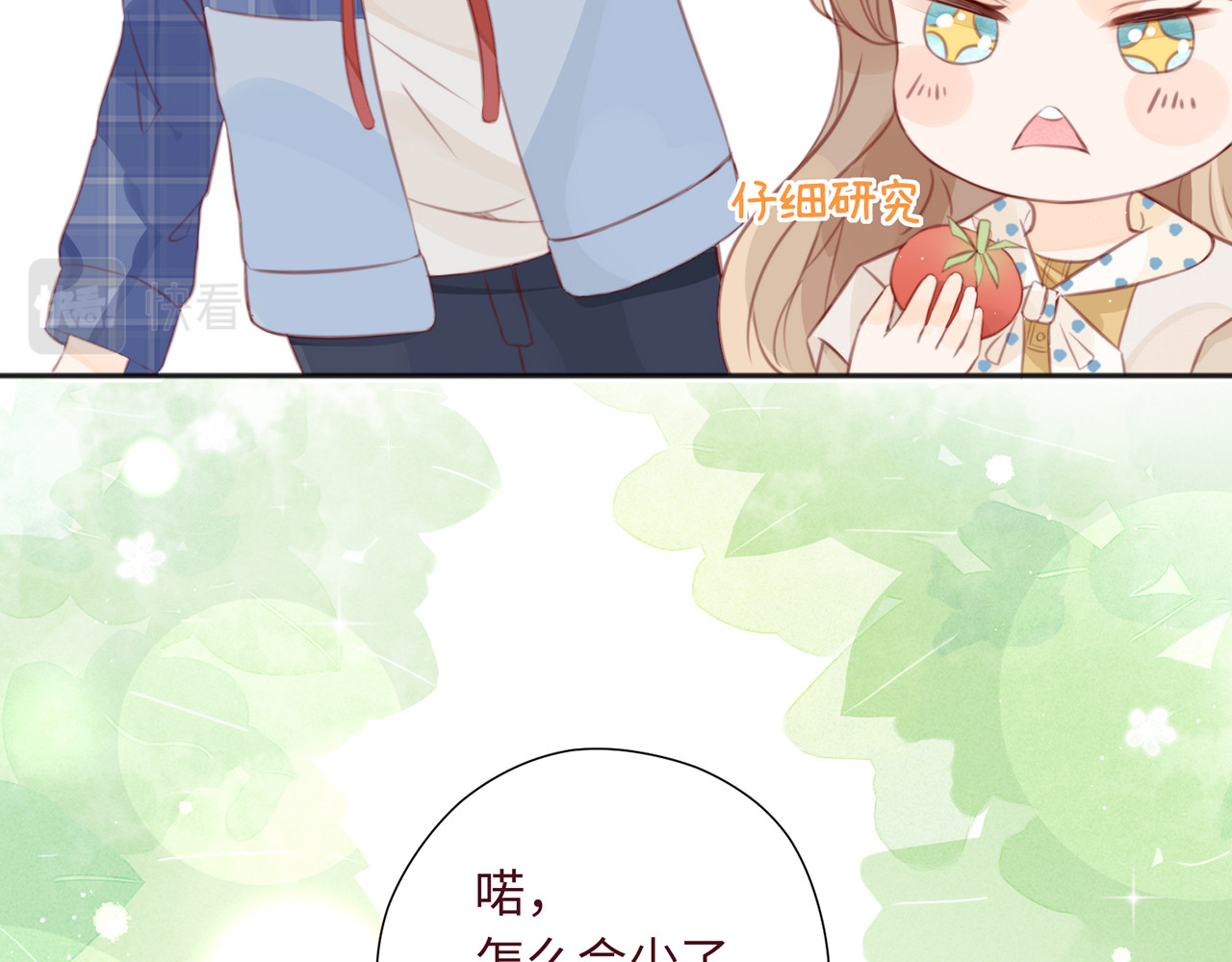 何秋何求 第2话 西红柿好好茨！ 第43页