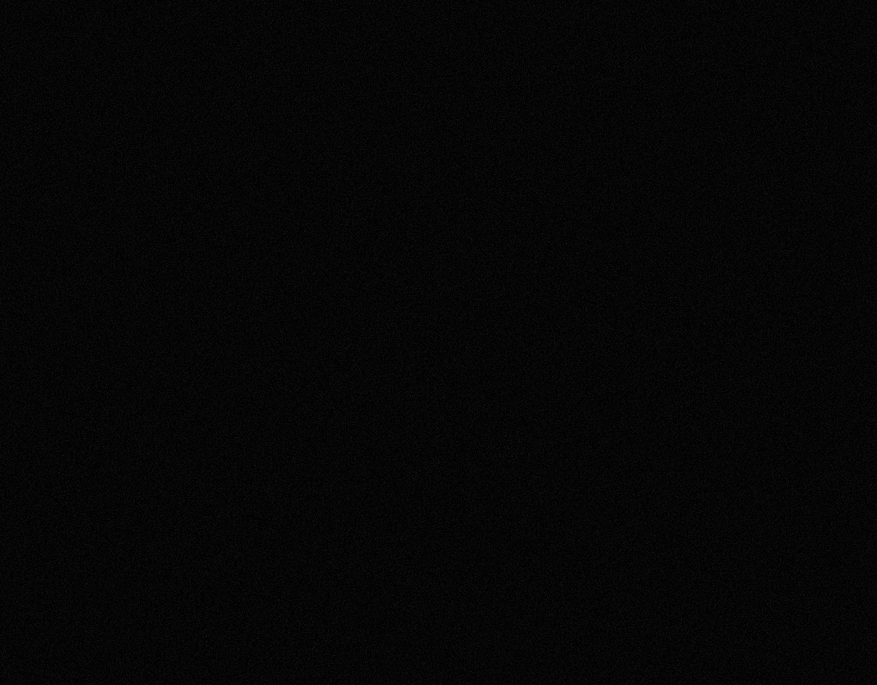 坞雏 双生 第69页