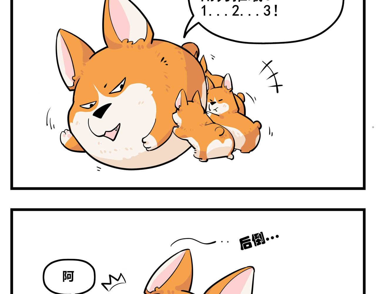 司基拉 司基拉的训练 第6页