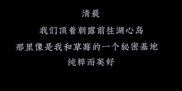 马戏人生 游湖心岛 第5页