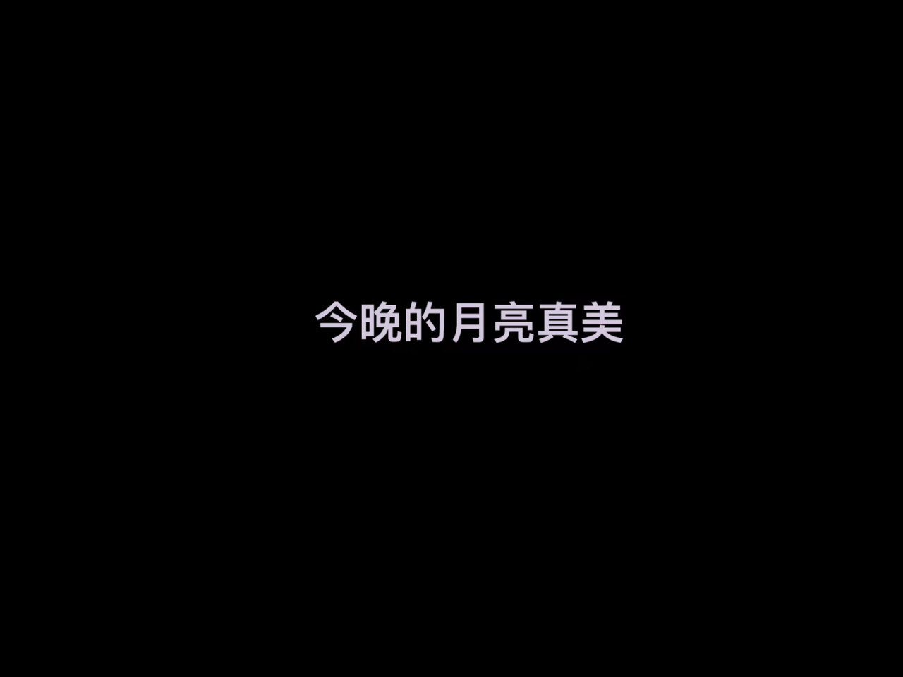 马戏人生 马戏之夜 第37页