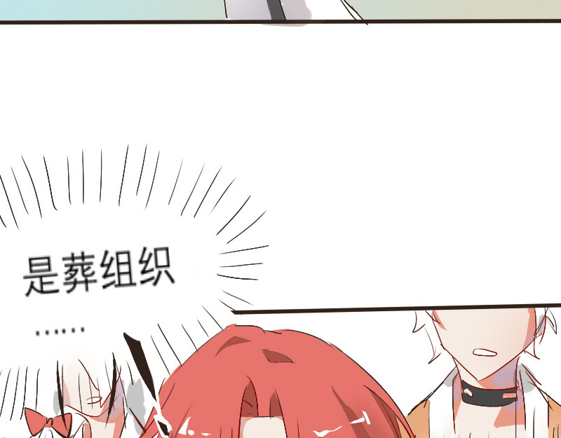 三垣 2.葬组织 第2页