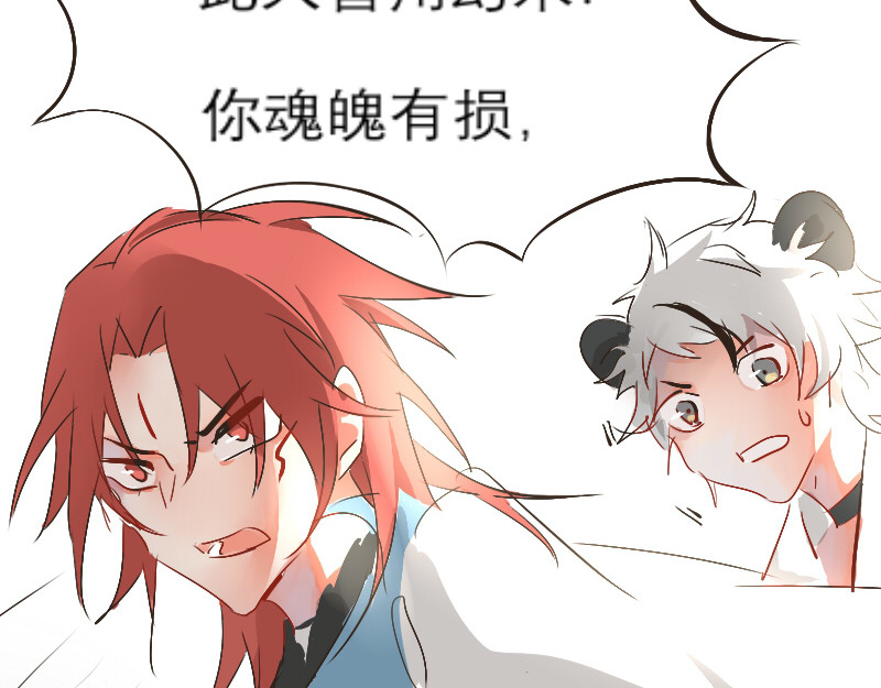 三垣 2.葬组织 第28页