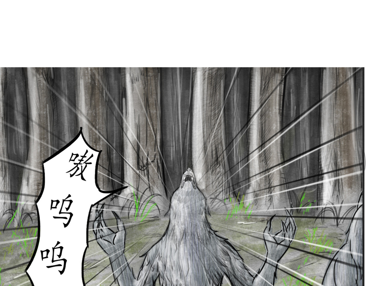 龙泉 千年雪妖 第46页