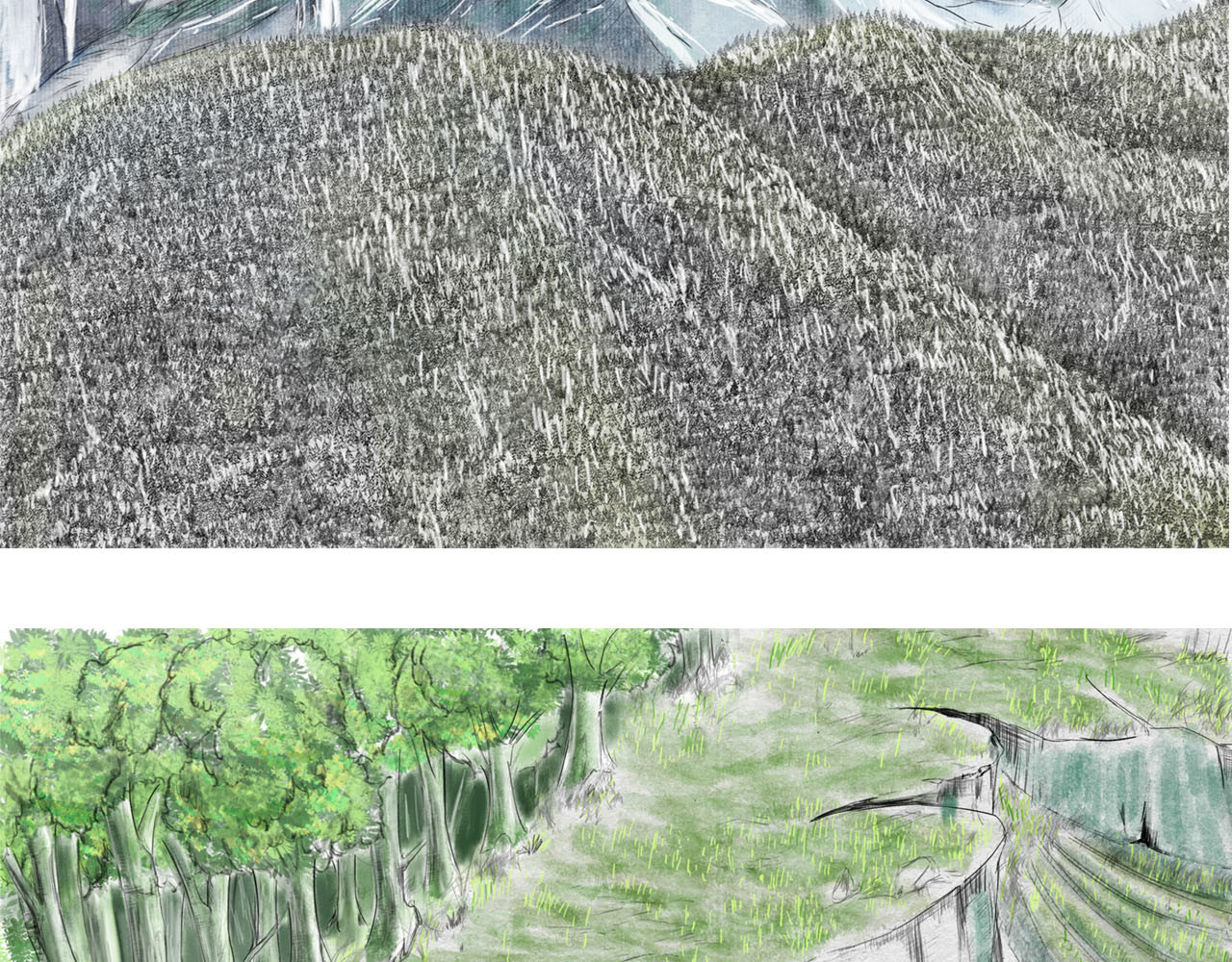 龙泉 第6页