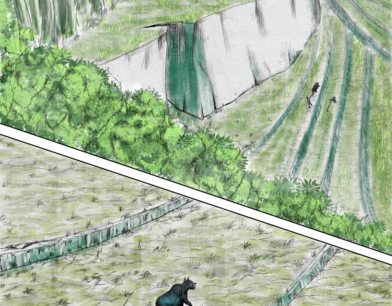 龙泉 第7页
