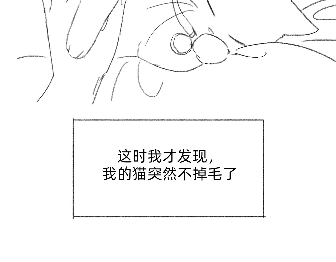 藏貓貓 二 第84页