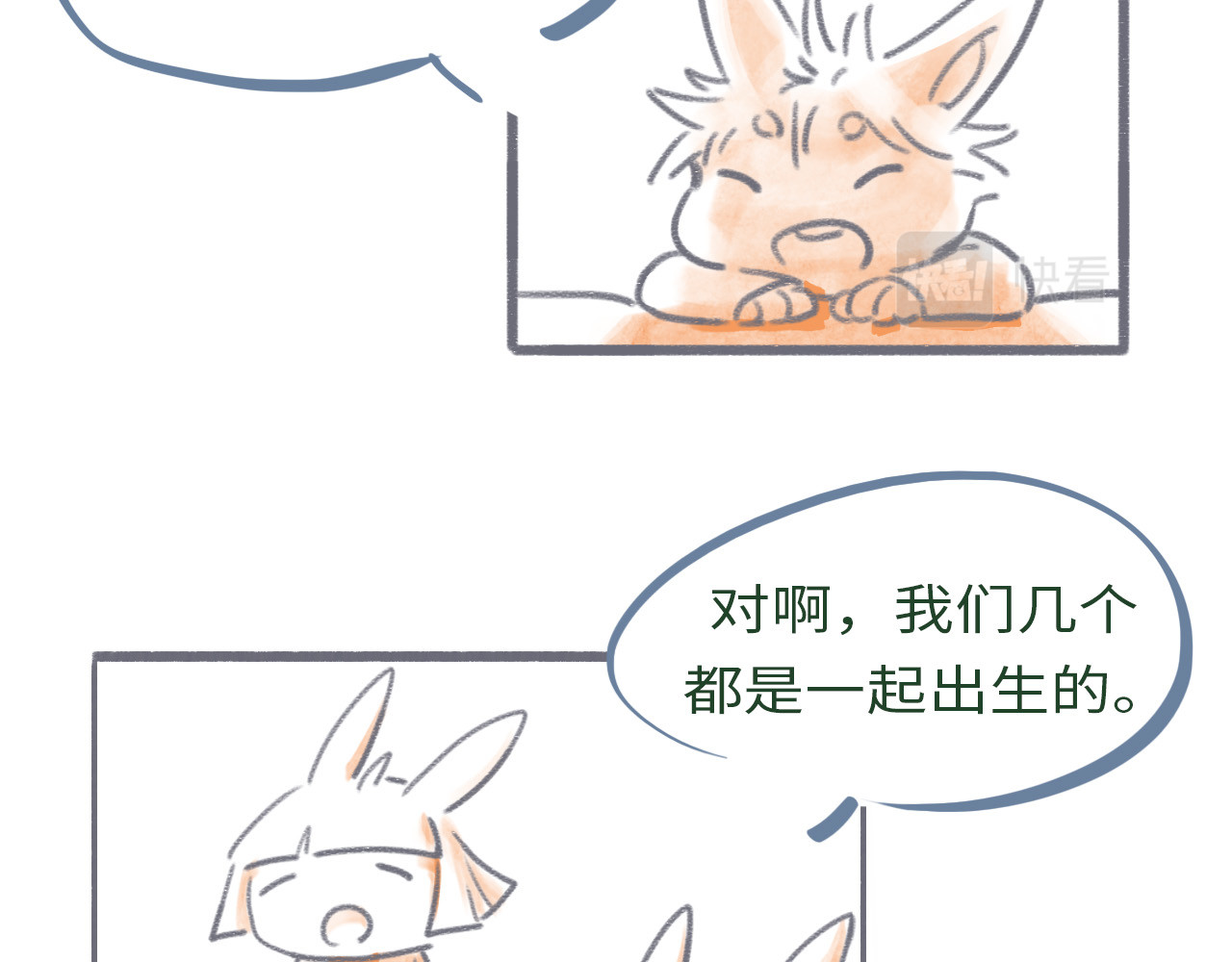 通缉兔子 【番外】取名 第7页