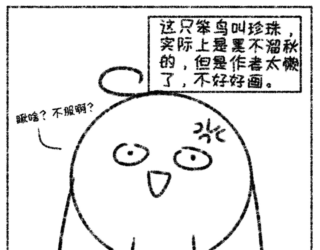 面点狐 第6页