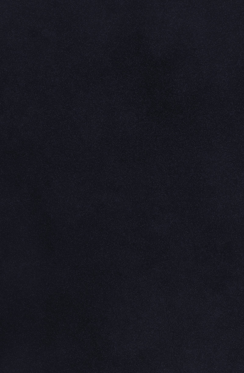 齐天 第6页