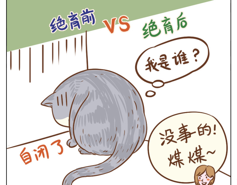吸猫 花式吸猫 第130页