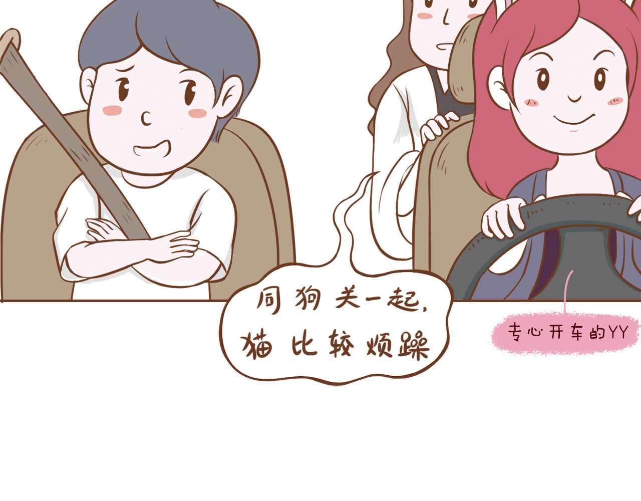吸猫 花式吸猫 第33页