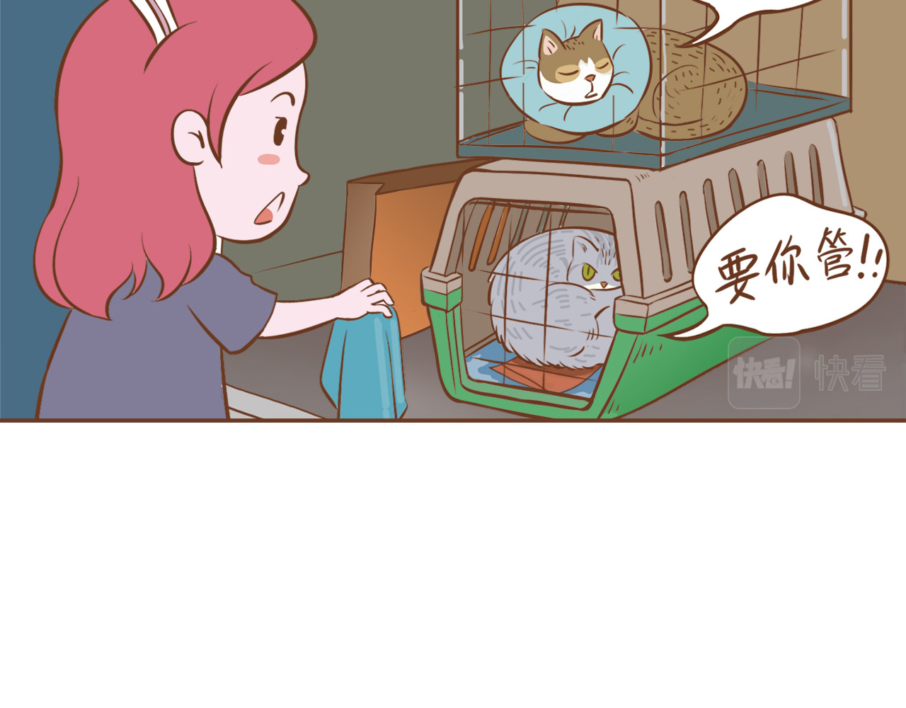 吸猫 花式吸猫 第91页