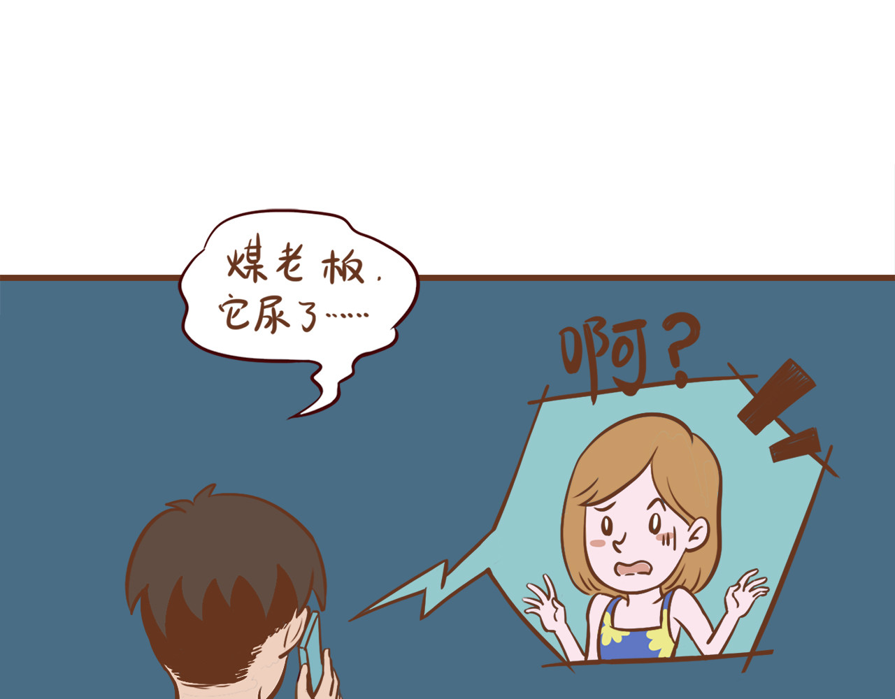 吸猫 花式吸猫 第94页