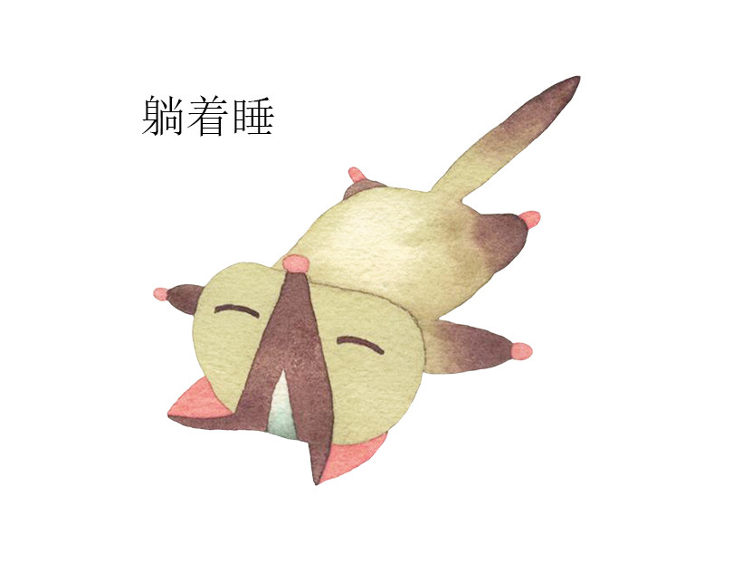 懒狸 第3页