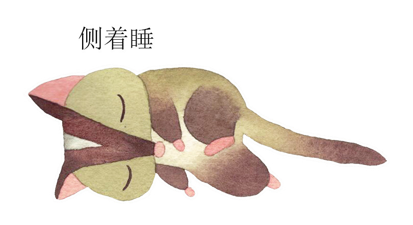 懒狸 第4页