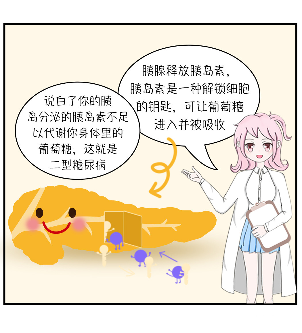 关于糖 二.什么是二型糖尿病 第11页