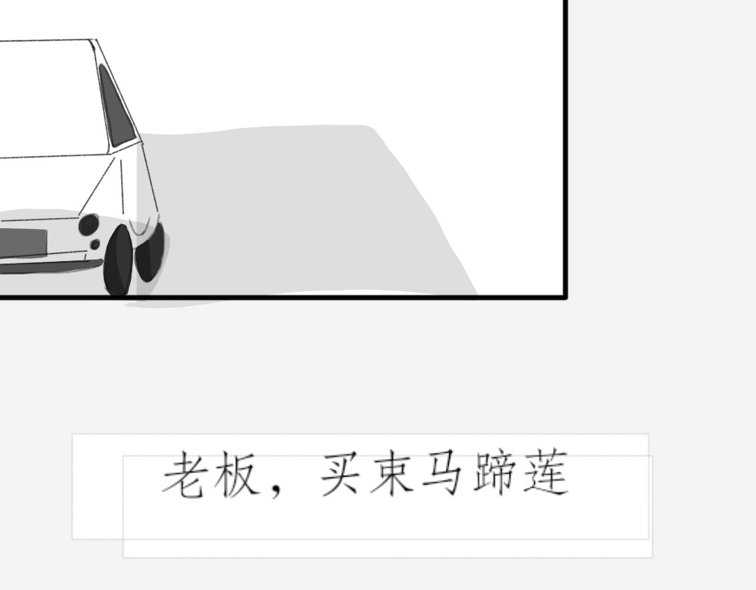 花言 马蹄莲 第28页