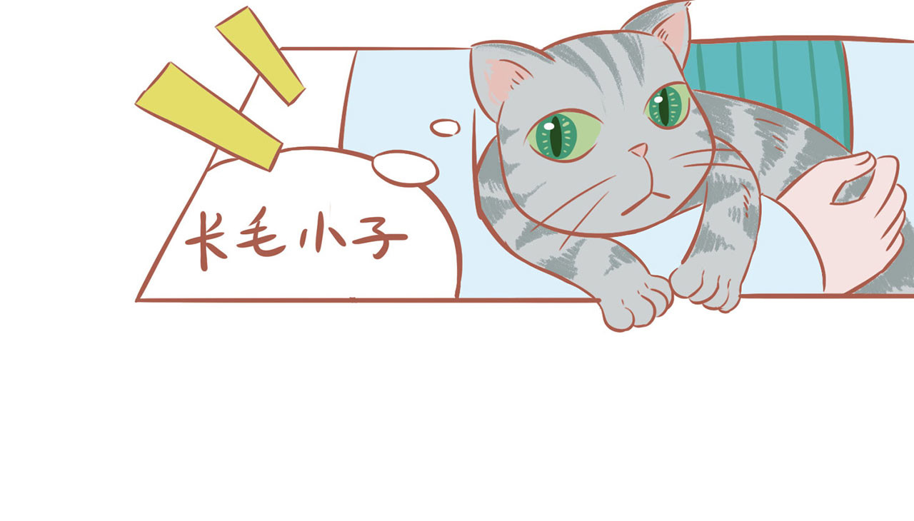 吸猫 神秘来客 第18页