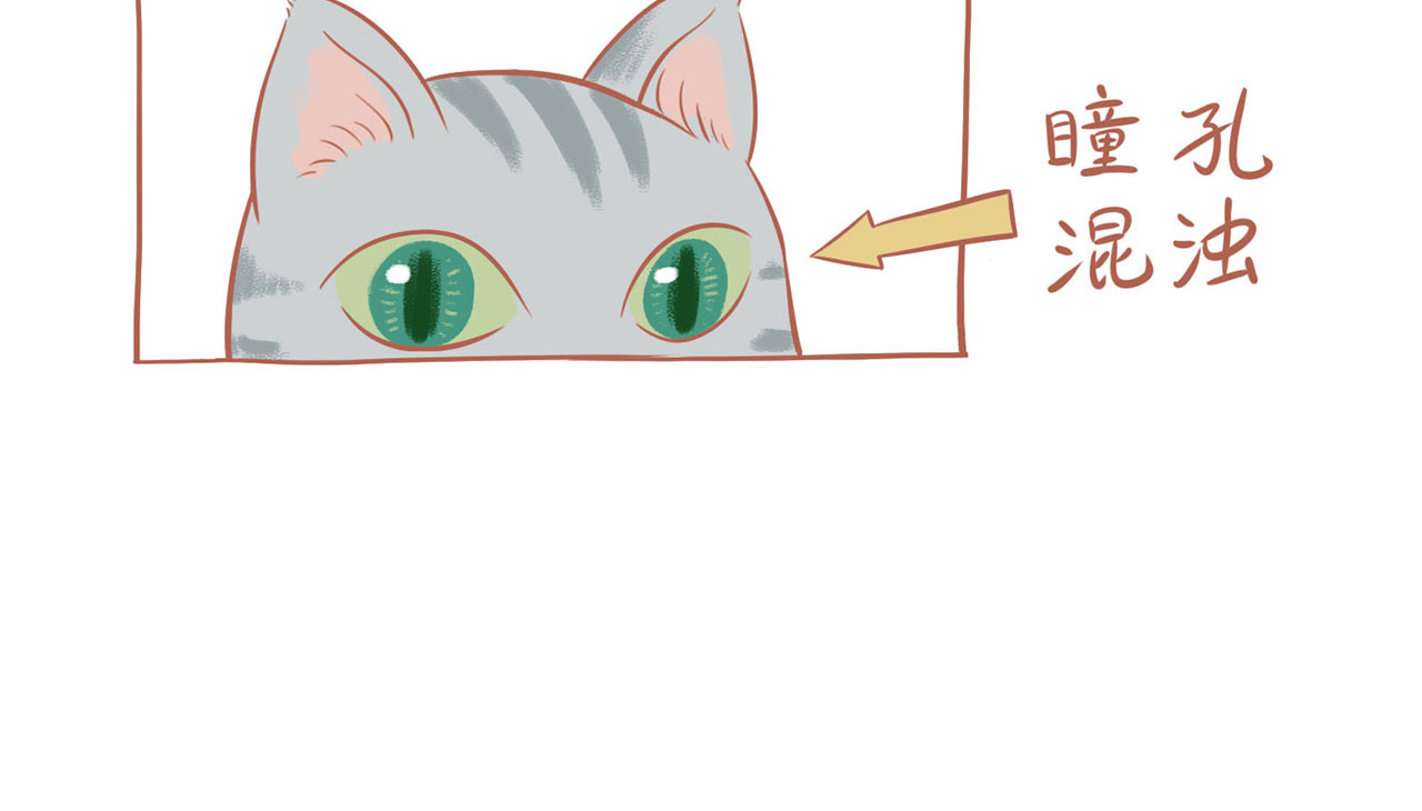 吸猫 神秘来客 第33页
