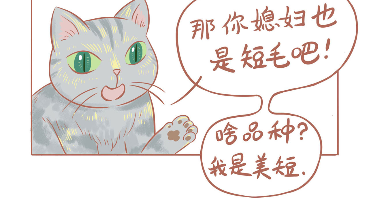 吸猫 神秘来客 第53页