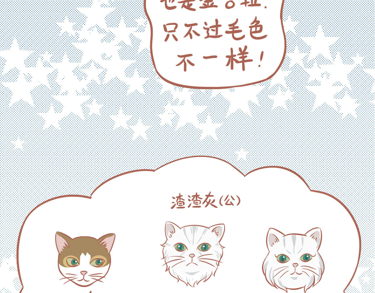 吸猫 神秘来客 第55页