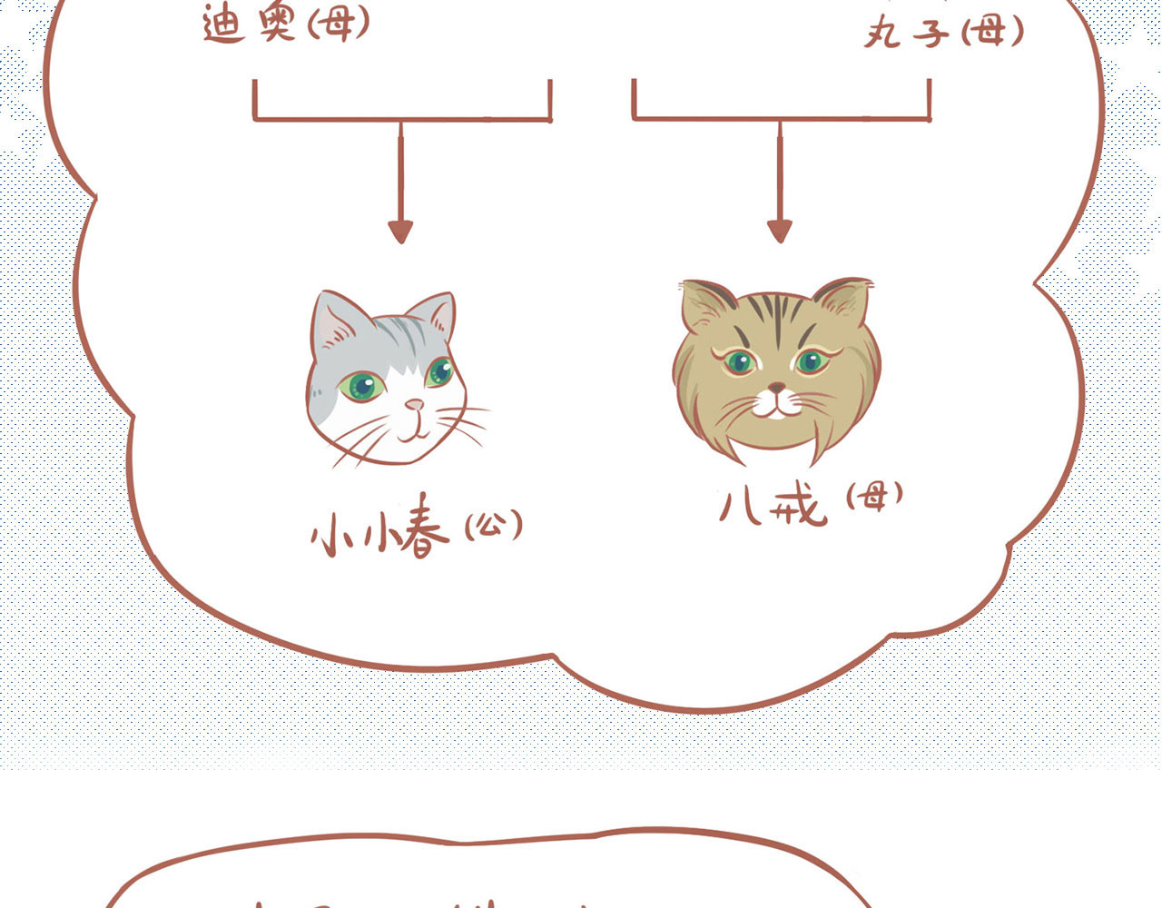 吸猫 神秘来客 第56页