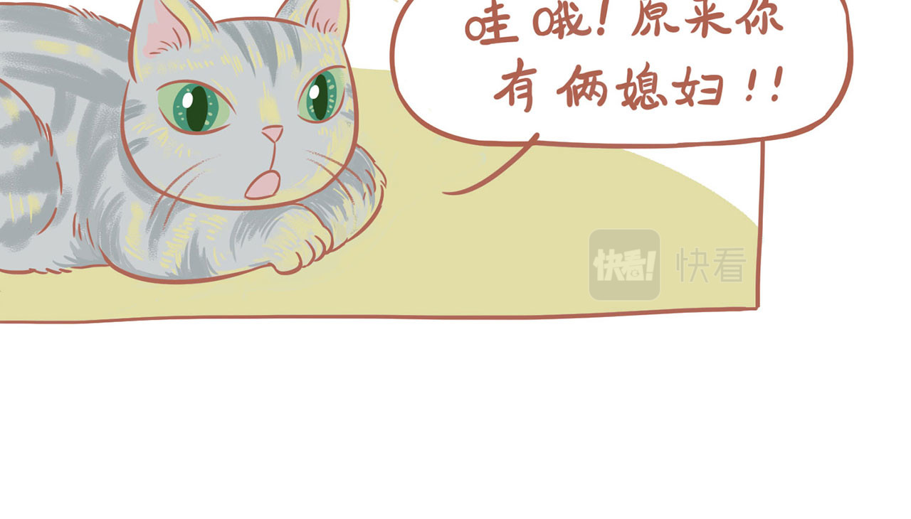 吸猫 神秘来客 第58页