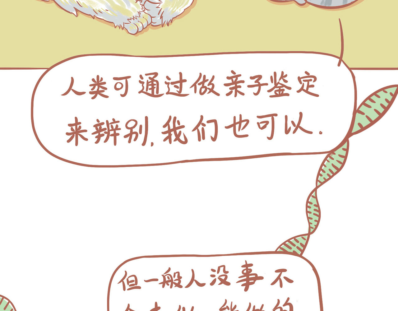 吸猫 神秘来客 第62页