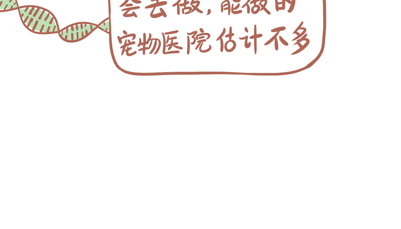 吸猫 神秘来客 第63页